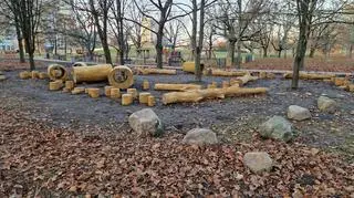Naturalny plac zabaw w Parku Bródnowskim