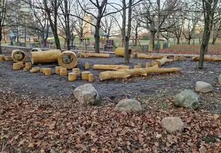 "Wygląda jak wybieg dla psów, a nie plac zabaw dla dzieci"