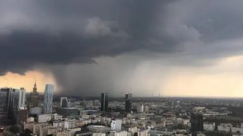 Silny wiatr na Mazowszu, konar ranił kobietę 