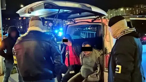 Kradli auta, demontowali je w lesie