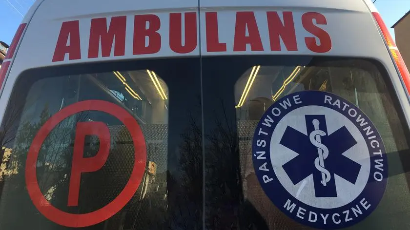 Byk stratował kobietę, nie udało jej się uratować