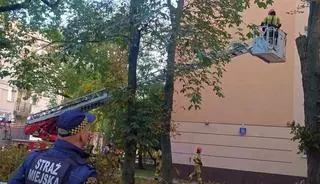 Potężny konar mógł runąć na budynek