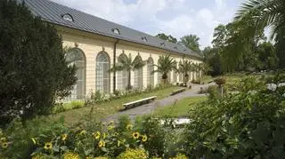 Koncerty chopinowskie w Wilanowie