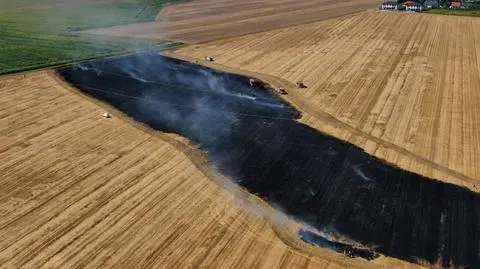 "Duża chmura jasnego dymu". Płonęło pole pod Warszawą