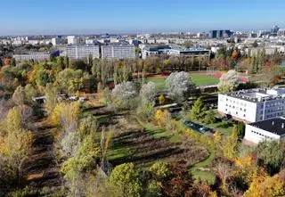 Urzędnicy kontra golfiści. Spór o działkę na Skrze