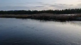A body was fished out of the Vistula 