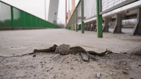 Przetarg na remont ciągów pieszo-rowerowych na moście Siekierkowskim 