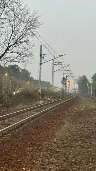 Wycinka w okolicy stacji Warszawa Miedzeszyn 
