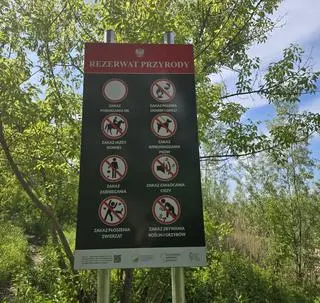 Kontrole policji w rezerwacie Wyspy Zawadowskie 