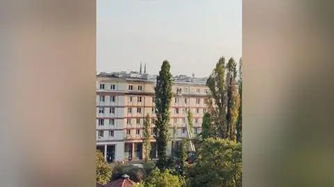 Dym wydobywał się z okna na ostatnim piętrze. Akcja strażaków 