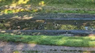 Wyschnięta fosa w Forcie Bemowo