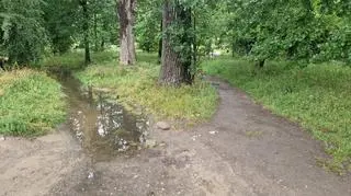 Podwyższony poziom wody w Potoku Służewieckim 