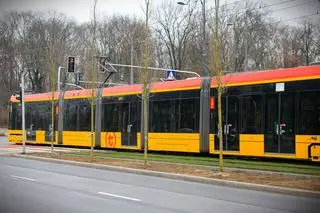 Sadzenie drzew wzdłuż torowiska na Marszałkowskiej