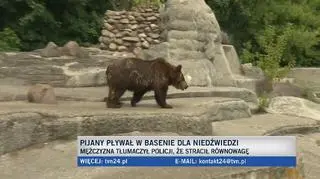 Pijany pływał w basenie niedźwiedzic