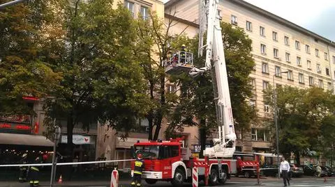 Gałąź spadła na pieszych. Straż przycięła drzewo