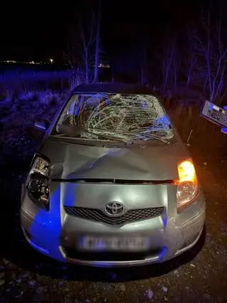 Zderzenie z łosiem w miejscowości Skrzynki