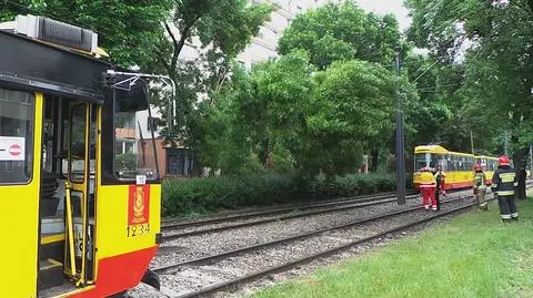 Powalone drzewo blokowało tory na Puławskiej