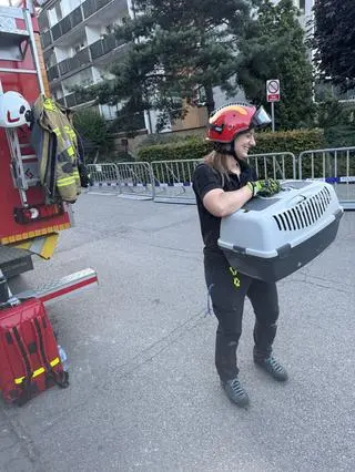 Strażacy uratowali kota, który zaginął po pożarze bloku 