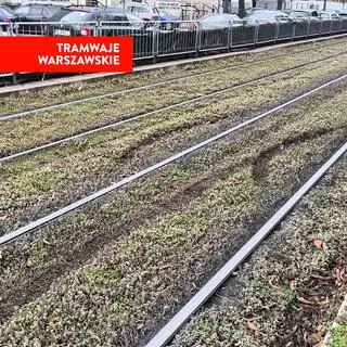 Rozjeżdżony rozchodnik na torowisku 