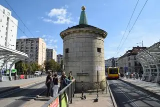 Gołębie z "Grubej Kaśki" czeka przeprowadzka 