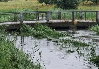 Wysoki poziom wody w potoku. Strażacy przywieźli worki