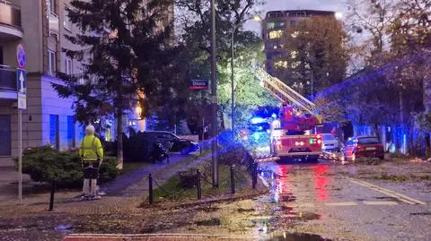 Uszkodzone drzewa przy ulicy Wielickiej