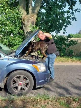 Akcja służb przeciwko przestępczości narkotykowej i celno-skarbowej