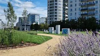Warszawa. Skrzynki elektryczne w parku nad POW