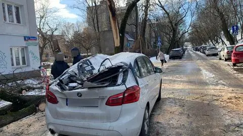 Burza śnieżna przeszła przez Warszawę. Powalone drzewa, zniszczone dachy, uszkodzone auta