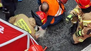 Aktywiści Ostatniego Pokolenia zablokowali trasę S8