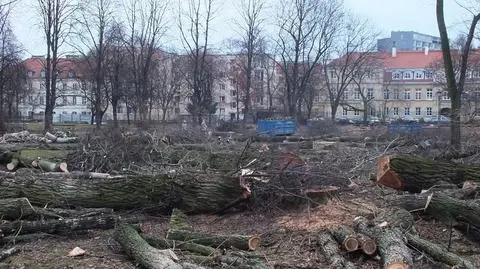 "Wycinka w Ogrodzie Krasińskich bez nadzoru"