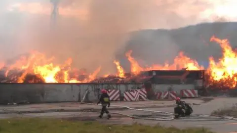 fot. Lech Marcinczak/tvnwarszawa.pl