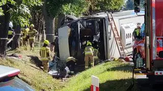 Autobus wpadł do rowu na DK2