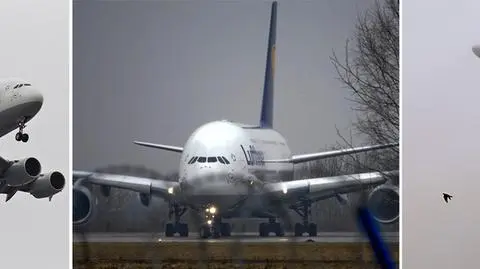 Wielki airbus w Waszych obiektywach