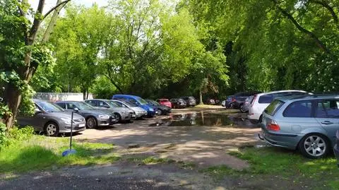 "Nawałnica samochodów rozjeżdżających tereny dzikie". Mogą legalnie, wolą na dziko