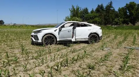 Lamborghini wypadło z drogi i wylądowało w polu kukurydzy