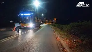 Kierowca autobusu pomógł jeżowi