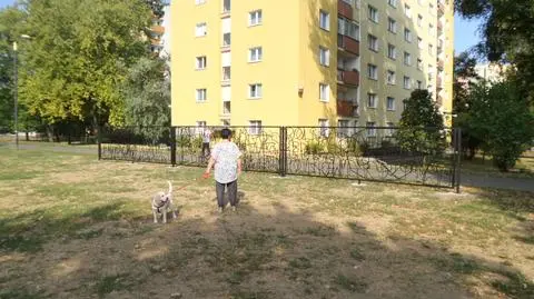 Po co nam "Płot nienawiści"? "Trudno przejść obojętnie"