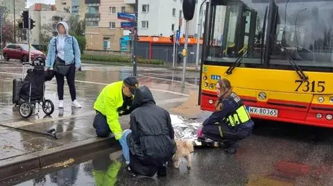 Leżała w kałuży na przejściu dla pieszych