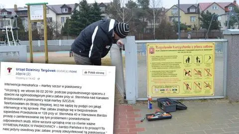 Zdechły szczur na placu zabaw. "Nie ma powodów do obaw"