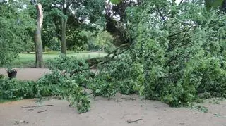 Połamane drzewa w Ogrodzie Krasińskich 