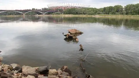 Zagadka wraku z Wisły rozwiązana 