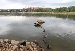 Wisła odsłoniła kolejny skarb. "To najpewniej luksusowy statek Bajka"