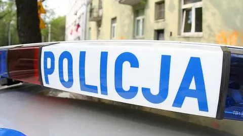 Policjanci potrącili psa, internauci domagają się kar