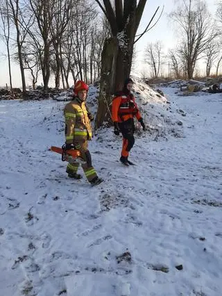 Dwa konie wpadły do pobliskiego stawu. Jeden nie przeżył 