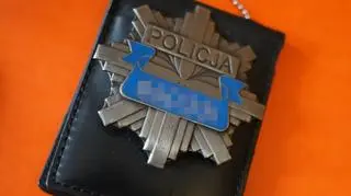 Policja rozbiła grupę przestępczą zajmującą się kradzieżą aut