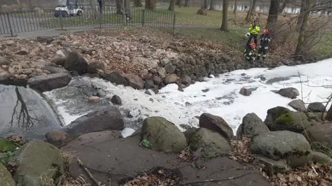 Smutna wizytówka Wilanowa. Nie ma mocnych na Ściek Służewiecki 