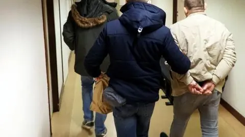 Sześć zlikwidowanych plantacji konopi, trzy osoby zatrzymane. Narkotyki miały trafiać do pseudokibiców 