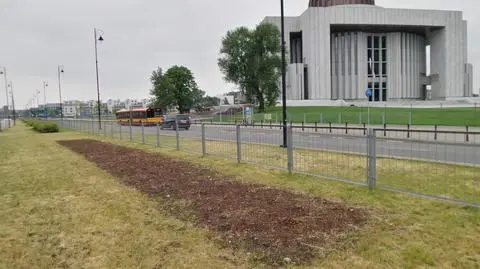 Centrum Opatrzności bez pozwolenia wycięło setkę krzewów. "Przepraszamy"
