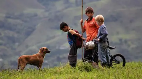 Filmy Świata w Warszawie
